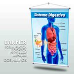 Banner Sala de Aula Sistema Digestivo + Grátis Suporte Para Pendurar