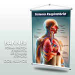 Banner Sala de Aula Sistema Respiratório + Grátis Suporte Para Pendurar