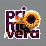 Adesivo para Vitrine Bem-Vinda Primavera