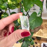 PEDRA CALCITA ÓTICA 15 A 25G / CLAREZA E COMPREENSÃO