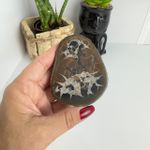 PEDRA SEPTARIA OU SEPTARIANA - PEÇA ÚNICA / COD 02