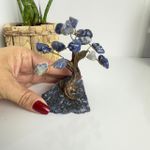 ÁRVORE PEDRA SODALITA - CLAREZA E DIRECIONAMENTO