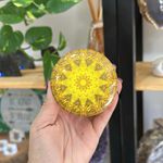 Latinha Astrológica - Porta Acessórios / Cor Amarelo