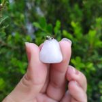 PINGENTE QUARTZO LEITOSO OU NEVE - CLAREZA
