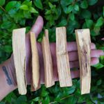 PALO SANTO IN NATURA INCENSO - LIMPEZA ENERGÉTICA
