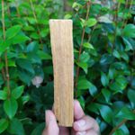 PALO SANTO IN NATURA INCENSO - LIMPEZA ENERGÉTICA