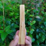 PALO SANTO IN NATURA INCENSO - LIMPEZA ENERGÉTICA