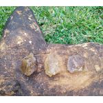 Pedra Bruta Citrino Natural - Abundância e Otimismo 