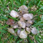 PINGENTE QUARTZO RUTILADO - ESPIRITUALIDADE