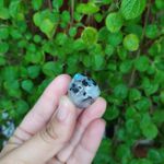 PEDRA DA LUA ARCO-ÍRIS ROLADA - EMOÇÕES 