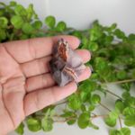 PEDRA BRUTA JASPE MOKAITA - NOVAS EXPERIÊNCIAS 