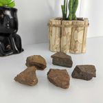 PEDRA BRUTA BRONZITA - PROTEÇÃO E CLAREZA