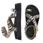 Flatform Lais Zebra