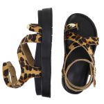 Flatform Lais Onça