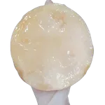 Scoby Premium Kombucha Starter Com Manual De Cultivo Kulti