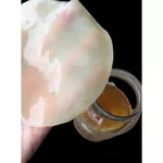 Scoby Premium Kombucha Starter Com Manual De Cultivo Kulti