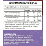 Kombucha Kit Mix Surpresa (12 Latas) 269ml - Kulti