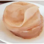 Scoby Premium Kombucha Starter KIT Completo Kulti