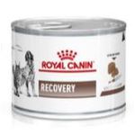 CARNE CAO/GATO RC RECOVERY 195G 