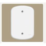 PLACA ESPELHO F0 CEGO 4X2 0224