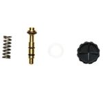 REPARO VALVULA GUARANY 10L (4605)