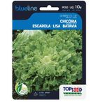 HORTALICA SEMENTE BLUELINE CHICORIA ESCAROLA 10G