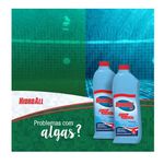 ALGICIDA CHOQUE HCL HIDROALL 1 LT