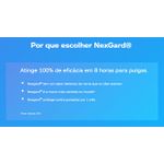 NEXGARD 1.25GR ( 4-10 KG) M C/3 EMB.ECONOMICA 