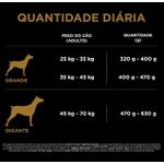 RACAO CAO PROPLAN 15KG AD PORTE GRANDE