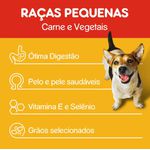 RACAO CAO PEDIGREE 15KG AD RACA PEQ