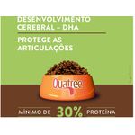 RACAO CAO QUATREE 15KG FILHOTE SUPREME R MED E GRANDES