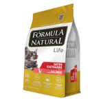 RACAO GATO FORMULA 1KG CAST SALMAO