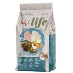 RACAO CAO QUATREE 1 KG LIFE AD R PEQ FRANGO