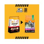 RACAO GATO CAT POWER AD SALMÃO 10 KG CAST