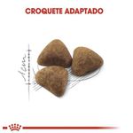 RACAO GATO RC INDOOR 1,5 KG