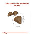 RACAO GATO RC INT HAIRBALL 1.5 KG