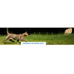 RACAO GATO N&D AD 7,5KG ANCESTRAL CORDEIRO