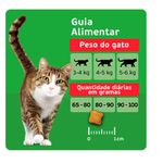 RACAO GATO KITEKAT 900G MIX CARNES