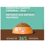 RACAO GATO QUATREE 10KG FILHOTE SUPREME