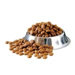 RACAO CAO ALLCANIS 15KG ADULTO 