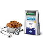 RACAO CAO FARMINA VET 2KG MINI HYPOAL ULTRA