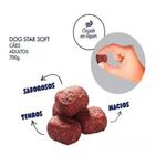 RACAO CAO DOG STAR SOFT 700G AD MACIO