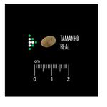 RACAO CAO EQUILIBRIO 12KG AD MATURE 