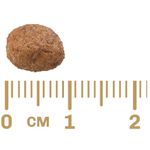 RACAO CAO GRAN PLUS 15 KG FILHOTE CARNE E ARROZ