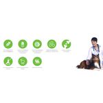 RACAO CAO MOOVE PET ADULTO R PEQ 3 KG