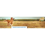 RACAO CAO N&D SENIOR 800G ANCESTRAL FRANGO E ROMA