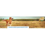 RACAO CAO N&D AD 10KG SENIOR MEDIUM/MAXI ANCEST FRANGO