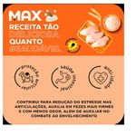 RACAO CAO MAX 15KG MATURE PROF LINE 