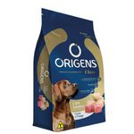 RACAO CAO ORIGENS 15KG AD CLASS CARNE/FRANGO