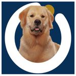 RACAO CAO ORIGENS 15KG AD R PEQ FRA/CER